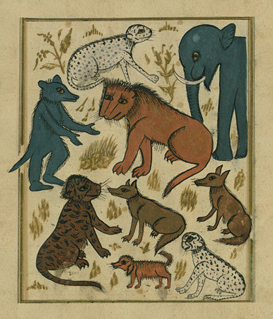 The Lion King and his Subjects. Ottoman painting. Fine art print