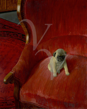 Painting of a Pug pup on a red chair. Siegfried by by Thomas Theodor Heine. Fine art print