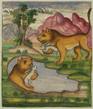 The evil lion sees his reflection. Painting from a Persian book of fables. Fine art print