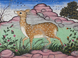 Painting of a deer from from a Mughal Indian manuscript.