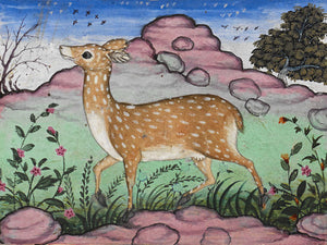 Deer in a landscape. Mughal Indian painting
