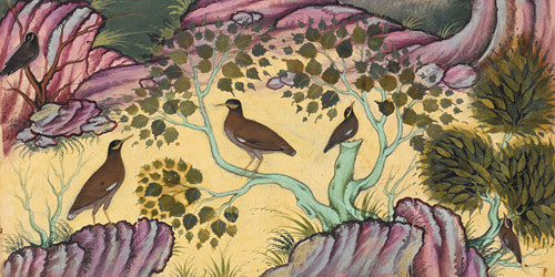 Painting of birds from a Persian manuscript. Fine art print