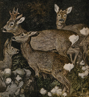 Forest deer vintage illustration. Fine art print