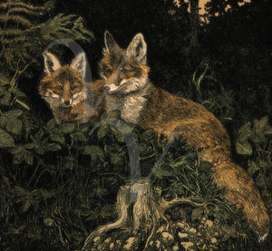 Antique Illustration of two foxes in the forest. Fine art print
