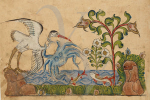 The Heron and the Crab. Watercolour painting from an antique manuscript of the Arabic animal fables the Kalila wa Dimna. Fine art print