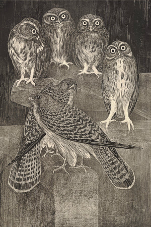 Owls and Hawks by Theo van Hoytema. Fine art print