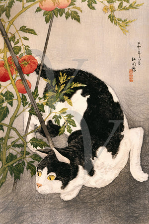 Cat with Tomato Plant by Takahashi Hiroaki. Japanese woodblock. Fine art print