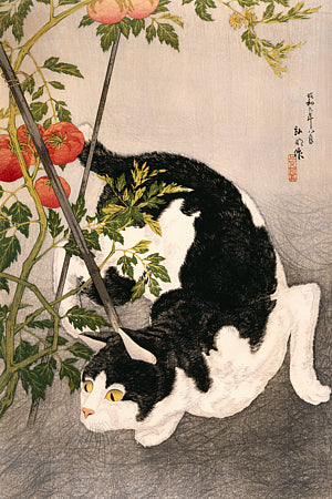 Cat with Tomato Plant by Takahashi Hiroaki. Japanese woodblock. Fine art print