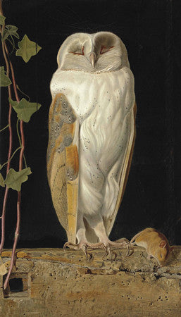 The White Owl by James Webbe. Antique bird painting. Fine art print