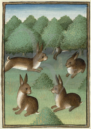 Medieval rabbit painting
