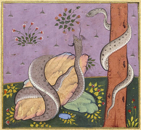 Persian painting of two serpents, or snakes