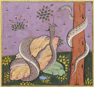 Persian painting of two serpents, or snakes