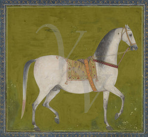 Indo-Persian painting of a stallion. Antique horse painting