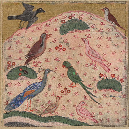 the Crow and other birds from the Persian Kalila wa Dimna