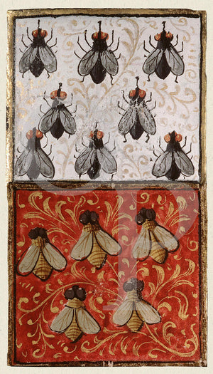 Medieval Insects. Bees and Flies