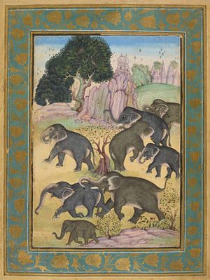 Elephant Herd. Indo-Persian painting