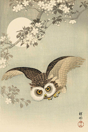 Owl In Flight with Full Moon by Ohara Koson