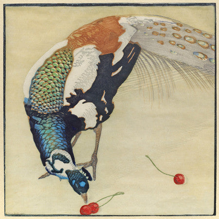 White-Spotted Peacock by Carl Moser 