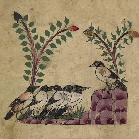 Meeting of the Birds painting from the Kalila wa Dimna