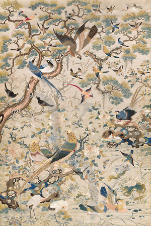 Chinese Qing Dynasty bird embroidery. Fine art print
