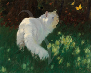White Cat and Butterflies painting by Arthur Heyer