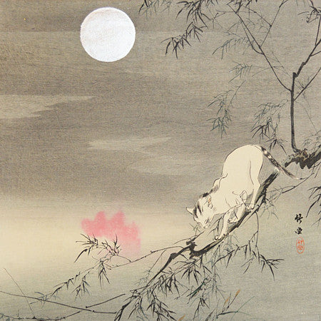 Cat and Full moon. Japanese art print