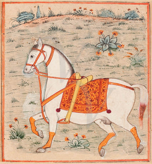 Persian horse painting. Antique stallion. Persia