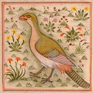 Antique Persian painting of a bird amongst wildflowers