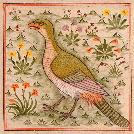 Persian bird painting
