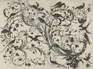 Vines with Flowers and Birds. Antique German ornamental etching