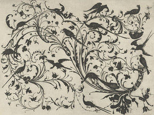 Vines with Flowers and Birds. Antique German ornamental etching