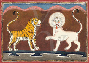 Lion and Tiger. Vintage Indian painting