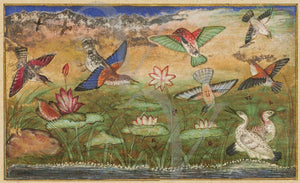 Birds and Lotus Flowers painting. Indian, Mughal antique artwork