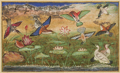 Birds and Lotus Flowers. Indian, Mughal painting