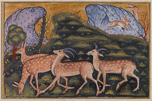 Persian Deer Painting