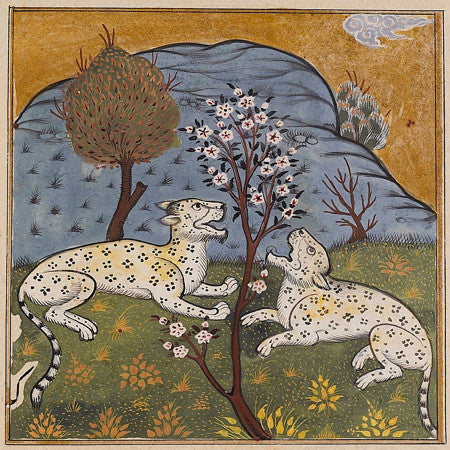 ainting of two leopards from a Persian manuscript
