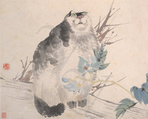 Cat in Garden. Chinese Qing ink painting 