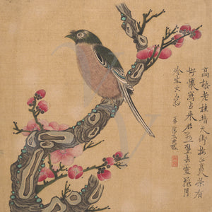 Chinese ink painting of a bird and blossoms. Ming dynasty, China