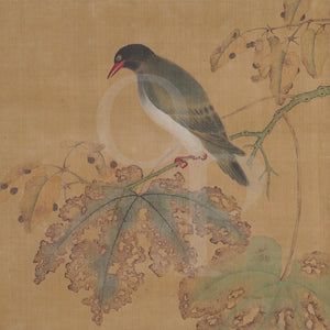 Chinese (Qing Dynasty) painting of a bird sitting on a branch. 