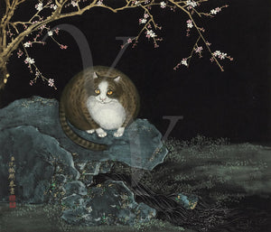Cat of Longevity. Antique animal painting, China