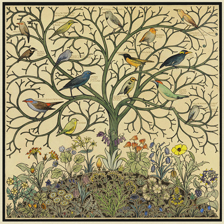 Exotic birds of the world in a tree in a flowering garden