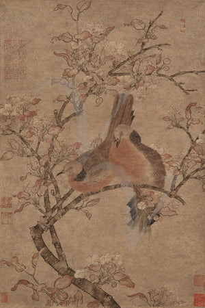 Doves on a Flowering Branch. Chinese bird painting 