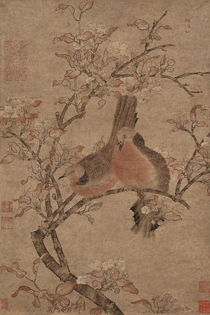 Doves on a Flowering Branch. Chinese bird painting