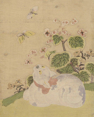 White Cat watching butterflies. Japanese woodcut by Suzuki Harunobu