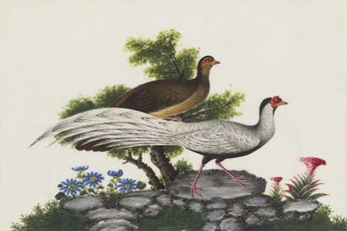 Exotic birds in a landscape. Antique Chinese painting