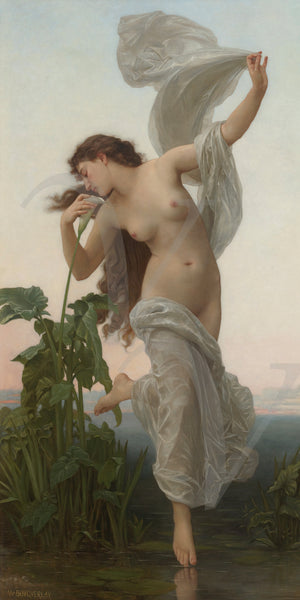 Woman with lilies painting by William-Adolphe Bouguereau. Fine art print