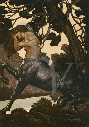 Vintage illustration of a mythological female Centaur. Fine art print