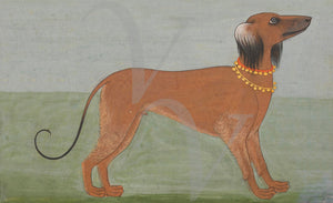 Indian painting of a dog. Vintage animal wall art. India. Fine art print