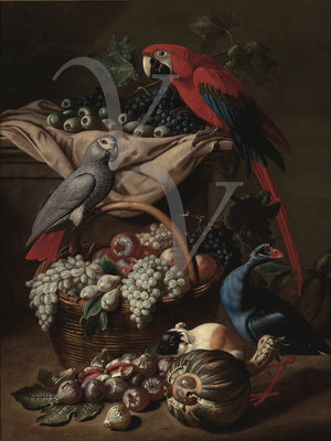 Parrots and Fruit. Antique still life painting. Fine art print