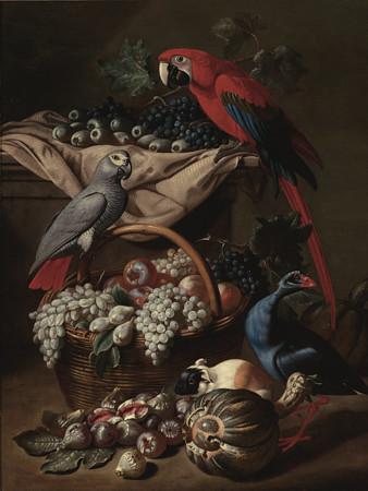 Parrots and Fruit. Antique still life painting. Fine art print